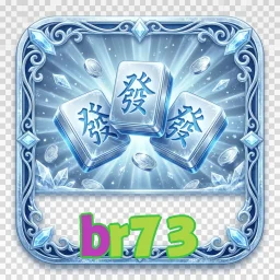 br73